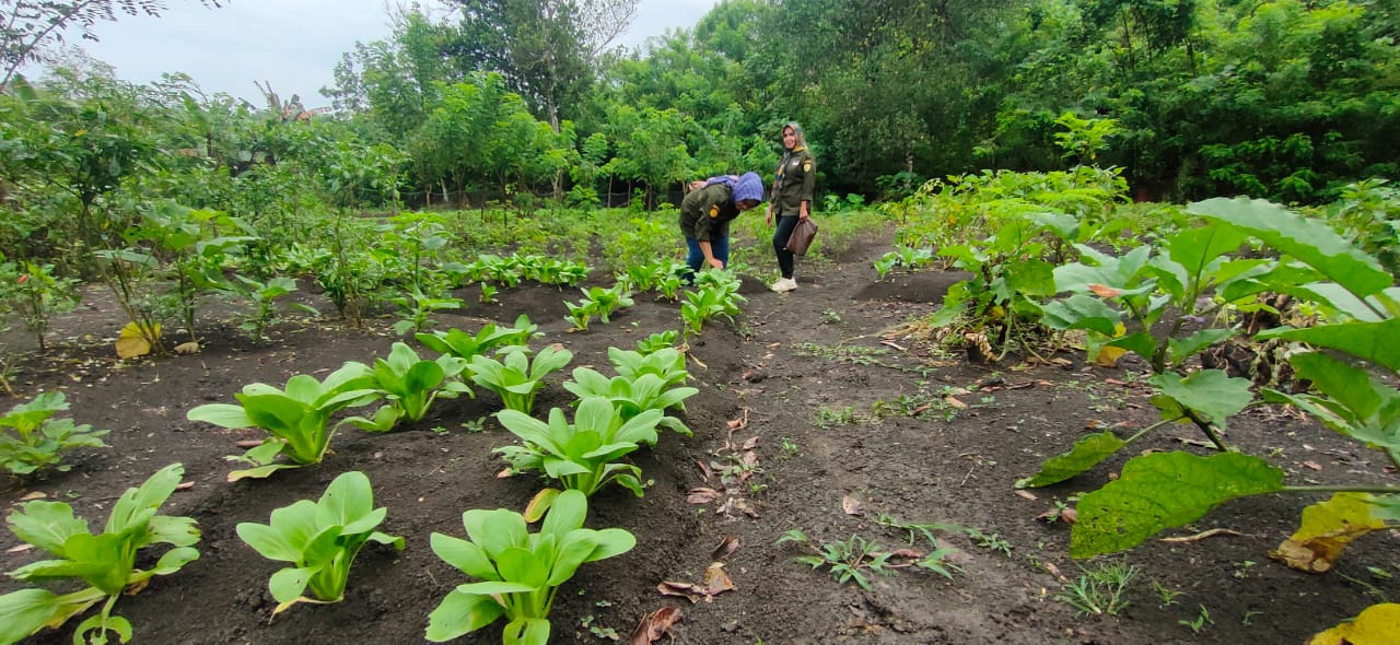 WhatsApp Image 2023 02 09 at 16.47.44