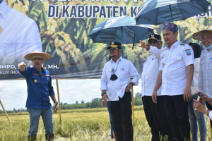 Menteri pertanian RI, Syahrul Yasin  Limpo didampingi Gubernur Sultra, Ali Mazi, Bupati Koltim dan Kadis Tanaman Pangan dan Peternakan Sultra, Drs muh Djudul saat panen raya di Kolaka Timur beberapa waktu lalu